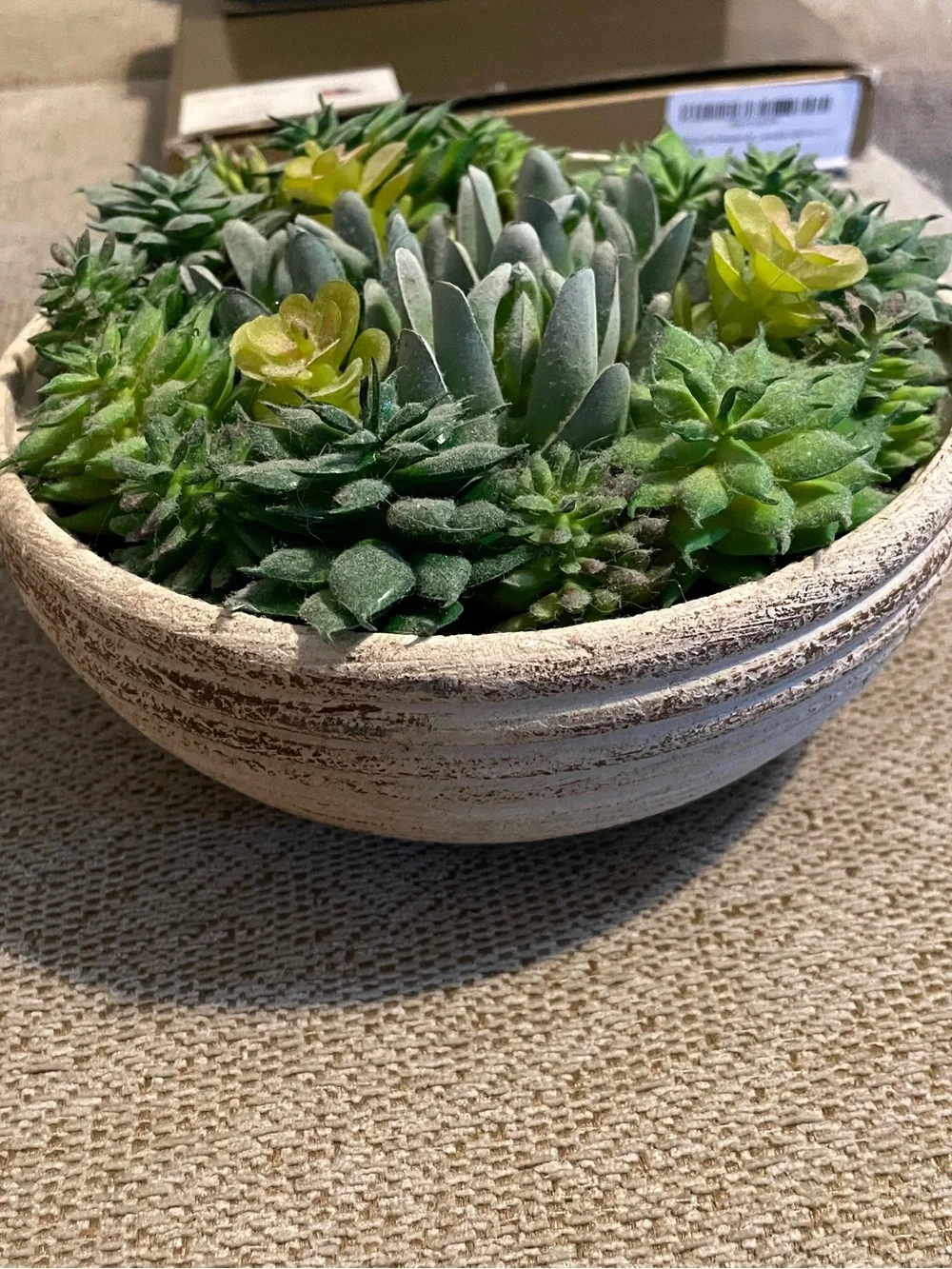 Artificial Succulent Bowl - Green & Cream Decorative Planter 7 in long 3 in high